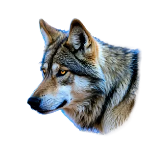 Wolf Eyes Under Moonlight Png 06292024 PNG image