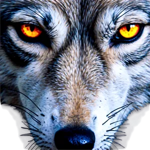 Wolf Eyes Vector Png Knm PNG image