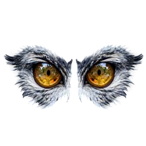 Wolf Eyes With Reflection PNG 91