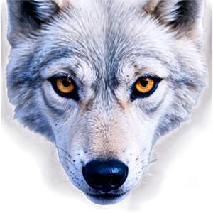 Wolf Eyes With Snowflakes PNG 84 PNG