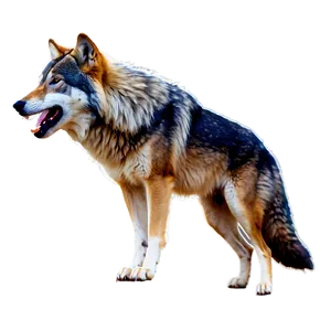 Wolf Pack In The Wild PNG Lib