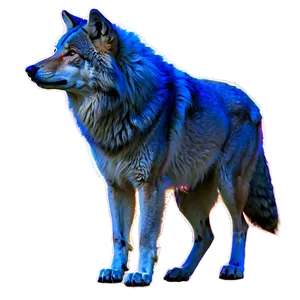 Wolf Spirit Animal Guide Png 11 PNG image