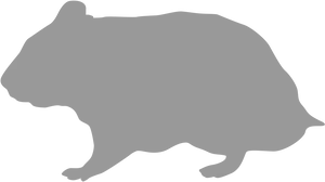 Wombat Silhouette Graphic