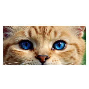 Wondering Kitty Eyes PNG Nyt PNG