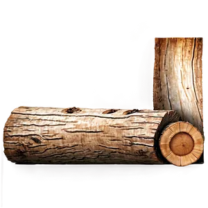 Wood Log Section PNG 40