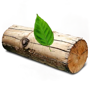 Wood Log With Leaves PNG 06292024 PNG