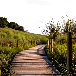 Wooden Boardwalk Path PNG Noc22 PNG