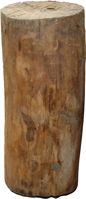 Wooden Log Stump Texture
