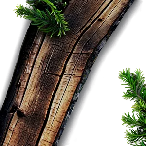 Wooden Plank B PNG image