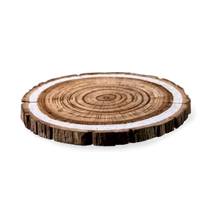 Wooden Slice Coaster Png 28 PNG image