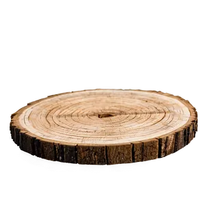 Wooden Slice Coaster PNG 46