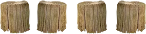 Wooden Stumps Row Black Background PNG