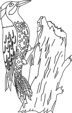 Woodpecker Outline Art