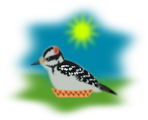 Woodpeckerin Sunshine PNG