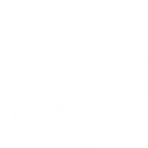 Wordpress Logo Whiteon Grey PNG image