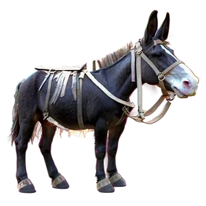 Working Mule Photo Png 77 PNG image