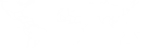 World Map Outline Against Black Background PNG
