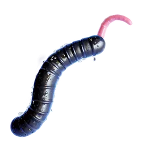 Worm In Rainy Weather PNG 49 PNG