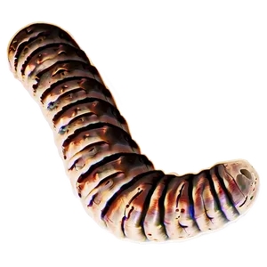 Worm In Soil Profile PNG 05242024 PNG