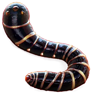 Worm Life Cycle PNG 05242024