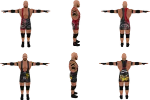 Wrestler_ Model_ Poses PNG image