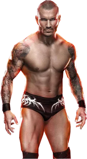 Wrestlerin Combat Gear