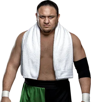 Wrestlerin Greenand Black Attire PNG image