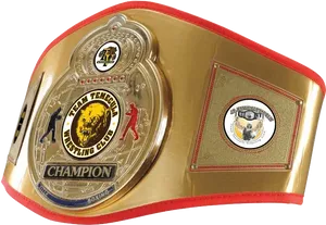 Wrestling Champion Belt