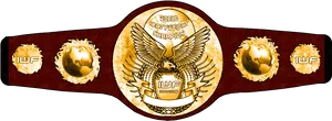 Wrestling Championship Belt Design