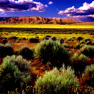 Wyoming Sagebrush Landscape Png 95 PNG image