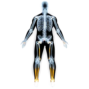 X Ray Body Scan Png 06252024 PNG image