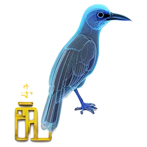 X Ray Of A Bird Png 06252024 PNG image