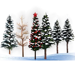 Xplore Xmas Tree Varieties PNG 06292024