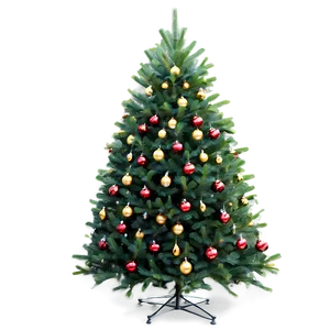 Xplore Xmas Tree Varieties PNG 87
