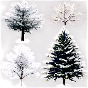 Xplore Xmas Tree Varieties PNG Xvj
