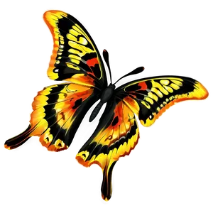 Yellow And Orange Butterfly PNG 06292024