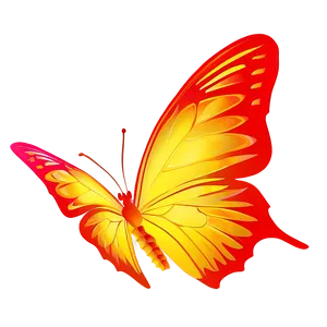 Yellow And Orange Butterfly PNG 68