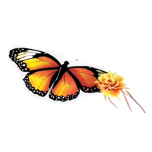 Yellow And Orange Butterfly PNG Bwh63 PNG