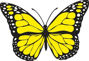 Yellow Black Butterfly Illustration