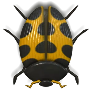 Yellow Black Ladybug Illustration PNG image