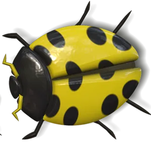 Yellow Black Ladybug Illustration