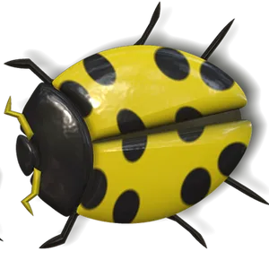 Yellow Black Ladybug Illustration PNG image