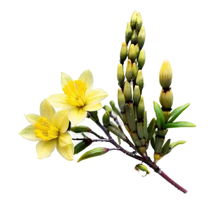 Yellow Blooms Png Fyq61 PNG image