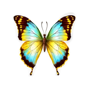 Yellow Butterfly C PNG image