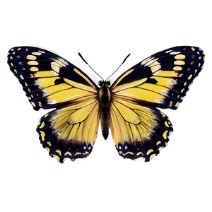 Yellow Butterfly Close-up PNG 06292024 PNG