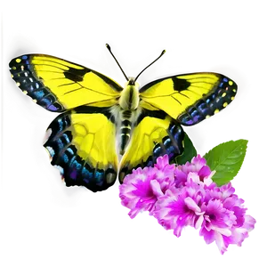 Yellow Butterfly Close-up PNG Sig60 PNG