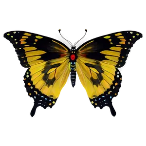 Yellow Butterfly Duo PNG 72