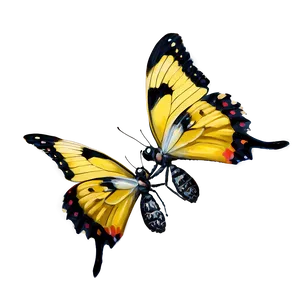Yellow Butterfly Duo PNG 92