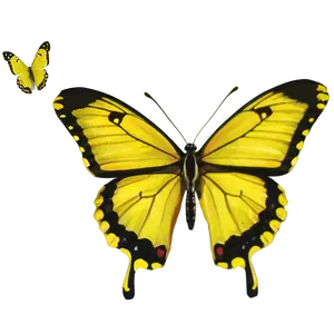 Yellow Butterfly In Nature PNG 43