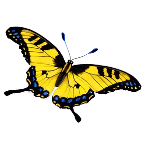 Yellow Butterfly In Nature PNG 89
